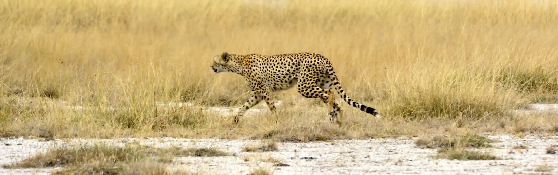 Classic Kenya Safari Amboseli National Park Tour ETHOEA-09